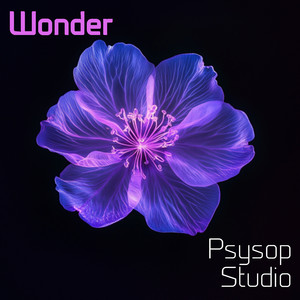 Wonder