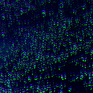 Wipe Away Your Tears