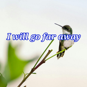 I will go far away