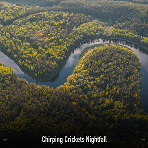 Alpha Waves For Sleep