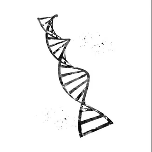 DNA(2021)