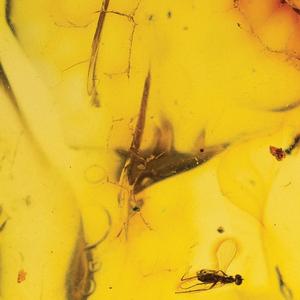 [FREE]GUITAR TYPE BEAT (prod.by Kream Ice)