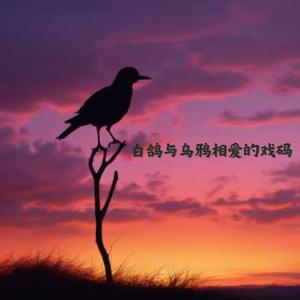 白鸽与乌鸦相爱的戏码 (释怀版)