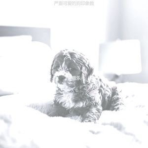 一尘不染小狗印象数