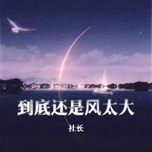 到底还是风太大