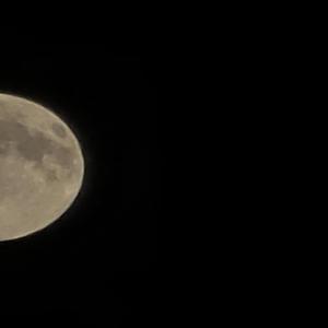 Rearview and the Windshield