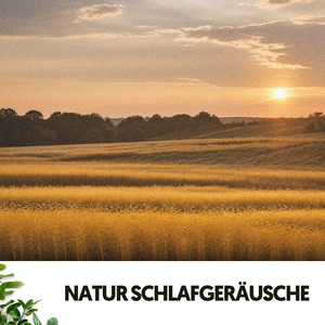 Rhapsodie fluviale reposante