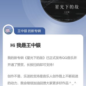 王中银 - 星光下的故乡