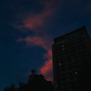 花在消逝中会说的话
