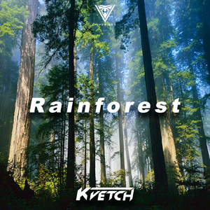 Rainforest (Original Mix)