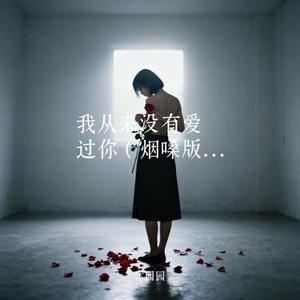 我从来没有爱过你 (烟嗓版) (Cover 草原兄弟)