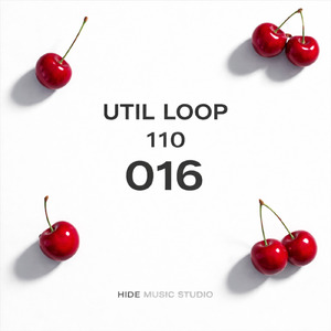 UTIL LOOP 016