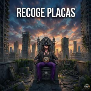 Recoge placas