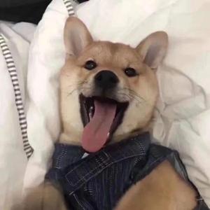 我想