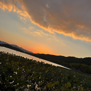 凌晨两点半的孤独探戈.wav