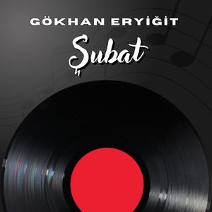 Şubat
