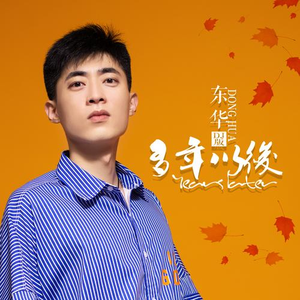 多年以后 (DJ版)