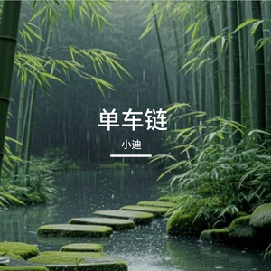 单车链