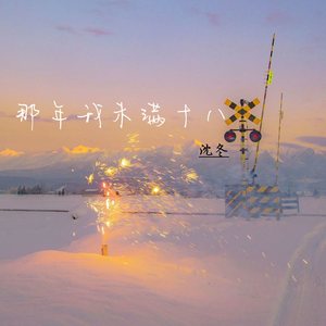 那年我未满十八