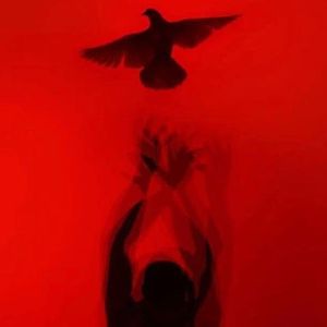 DamnA(该死的活着)