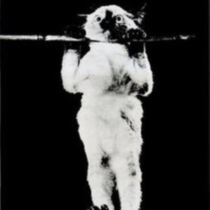 DON'T LET GO! (feat. D-Vine)