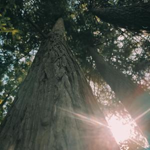 记得住1.0(prod by ZS beatz)