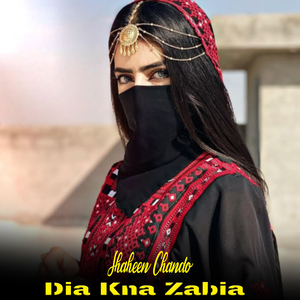 Dia Kna Zabia