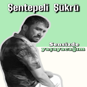 Sensizde Yaşayacağım