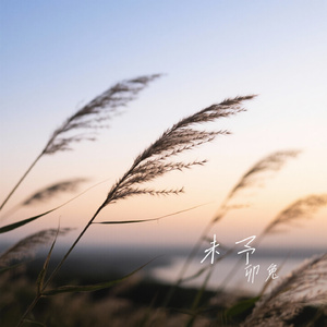 未予