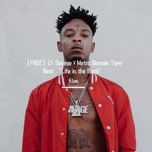【FREE】808 Mafia Type Beat "Life n the Block"