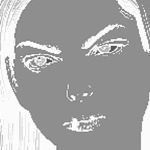 放浪者 (with PL4N7S)