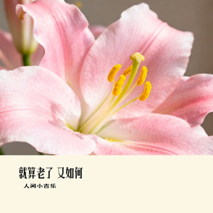 就算老了 又如何