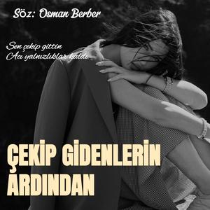 ÇEKİP GİDENLERİN ARDINDAN