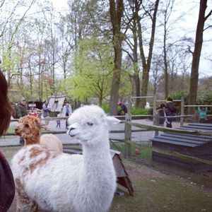 海边的怦然心动