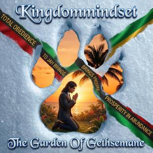 The Garden Of Gethsemane