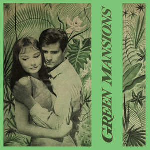 Dead Jaguar - the Village