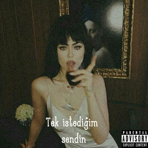 Tek istediğim Sendin