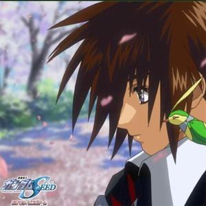 时の砂漠~机动戦士ガンダムGundam Seed Destiny