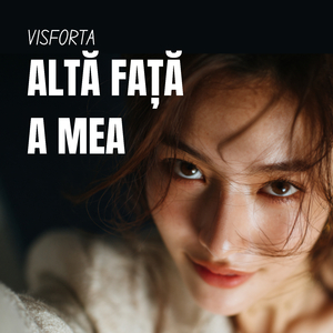 Aici mă opresc