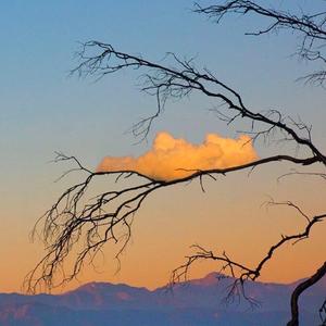 The Kingdom of God is within man 《大独裁者》