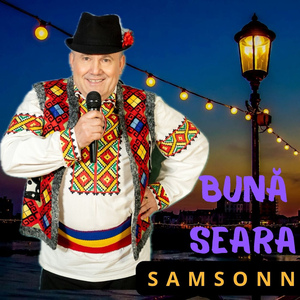 Bună Seara