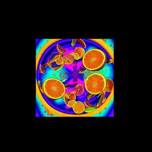 Electrolives Extended