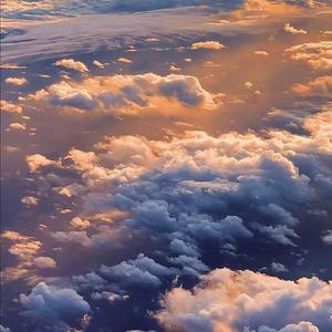 可它爱着这个世界（翻自 周深）