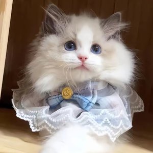 对话里的休止符