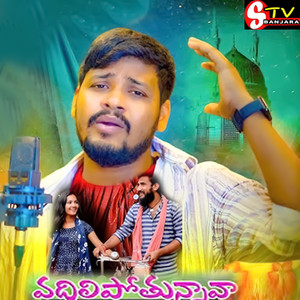 Vadhilipothunnava