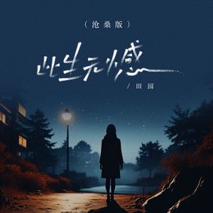 此生无憾（沧桑版）