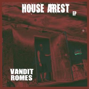 Que Vas a Hacer? (feat. Divoice)