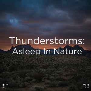 호우 잠