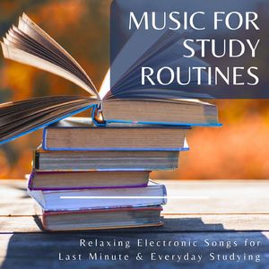 Follow a Daily Schedule