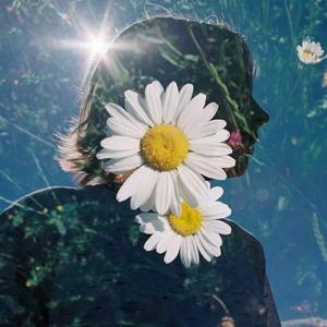 【FREE】雏菊，她